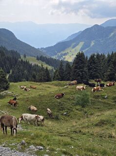 Foto von Andrea Inserra entlang der Tour