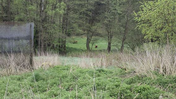 Foto von Berg504 entlang der Tour