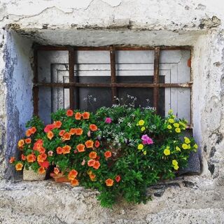 Fenster Kirchhof Lieding