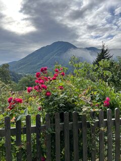 .. mit Ausblick zum Sonnwendstein ..
