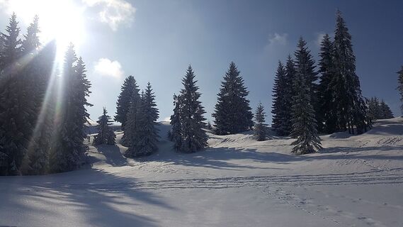 Winterwandern Hochhäderich