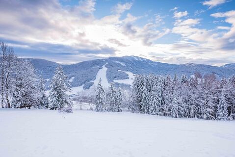 Naturpark-Winterwandern in St. Lambrecht_Blick auf die Grebenzen