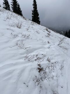 Foto da Amiks lungo il tour