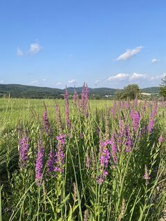 Foto von Krisztina Katonai entlang der Tour