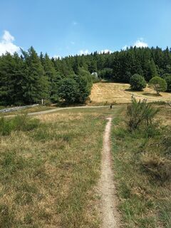 Photo de Daniel BELAT le long du parcours