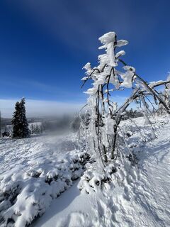 Photo de Andreas Hoffmann le long du parcours