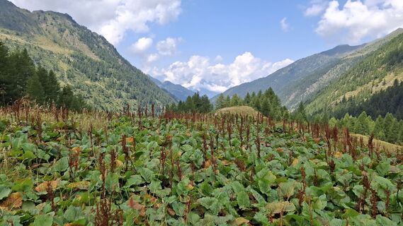 Fotografija s spletne strani Marina I na poti