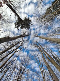 Foto von Mimi entlang der Tour