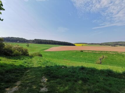 Aussicht bei Tannroda