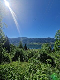 Photo de Michael Forstner le long du parcours