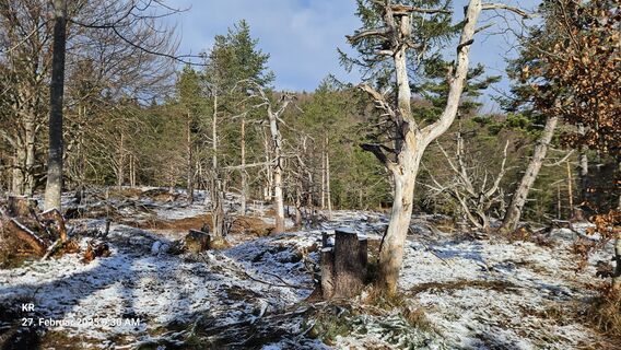 Foto von Klaus Reinhold entlang der Tour