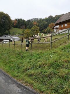 Foto von Csaba Szenti entlang der Tour