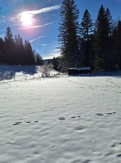 Foto von Mimi entlang der Tour