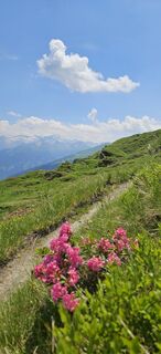 Foto von Max Ritzinger entlang der Tour