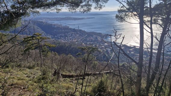 Foto von Štefan Jenko entlang der Tour