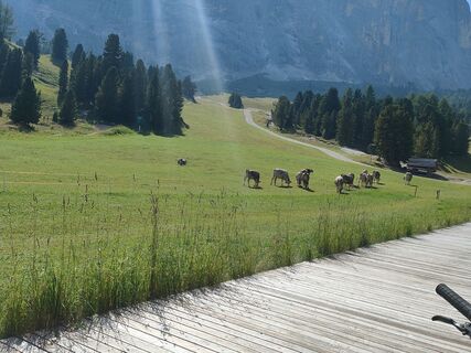 Foto von massimo tabellini entlang der Tour