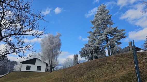 Фото с сайта Alexandra Stani во время экскурсии