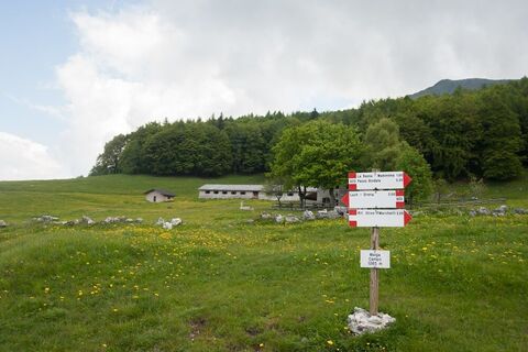 Malga Campo