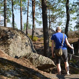 Neitvuori