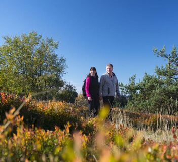 Paar beim Wandern auf dem Ettelsberg