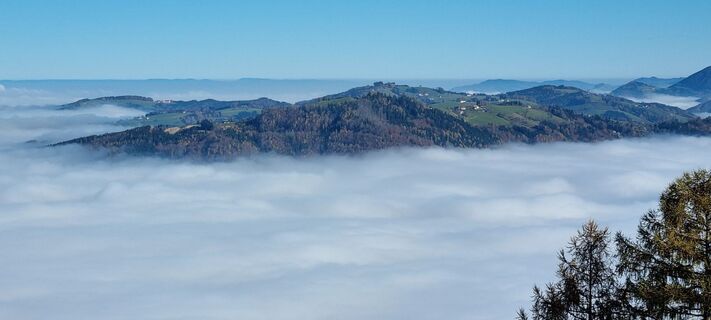 Foto von Gabi G entlang der Tour