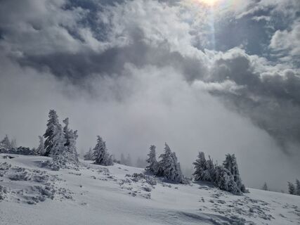 Fotografija s spletne strani MarionFeik na poti