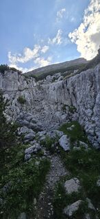 Fotografija s spletne strani Richard Seba na poti