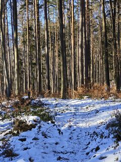 Foto de Sabine a lo largo del recorrido
