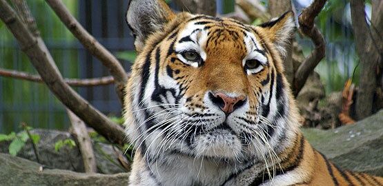 Zoo Hoyerswerda