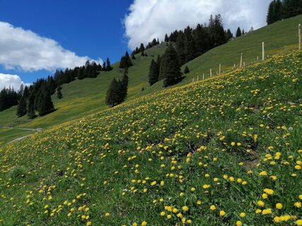 Foto von luyyy entlang der Tour