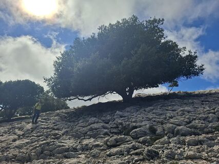 Foto von Anci Jekovec entlang der Tour