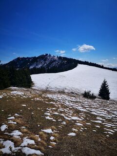 Foto von 3d63 ru^^n3r entlang der Tour