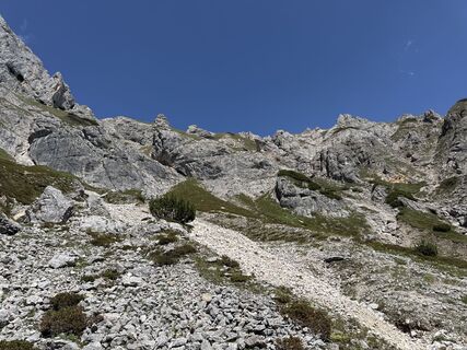 Fotografija s spletne strani Grizzli na poti