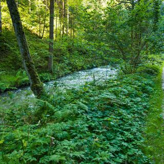 Wandern an der Tiebel