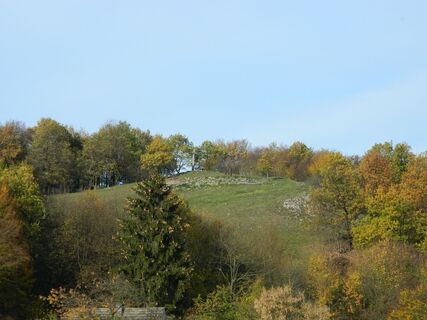 Naturschutzgebiet Hohe Steinert