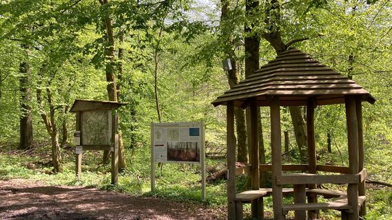 Wanderparkplatz am Hörmuseum | Lichtenau-Blankenrode