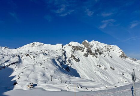 Fotografija s spletne strani f.w.mueller na poti