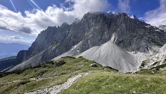 Photo de Mountain Cat ? ⛰️ le long du parcours