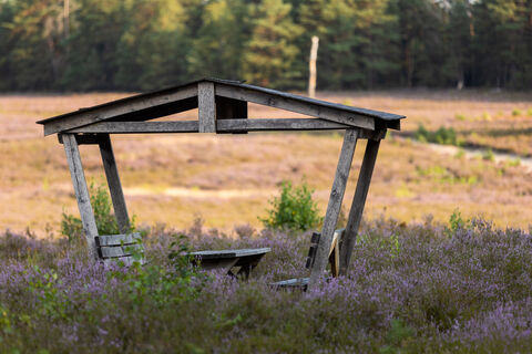 Schwindebecker-Heide