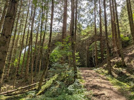 Photo de Martina Braunstein-Lamatsch le long du parcours