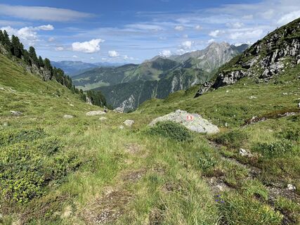 Photo de Koen De Wit le long du parcours