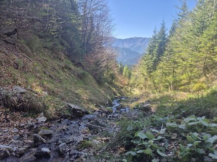 Foto de Tatiana kováčiková a lo largo del recorrido