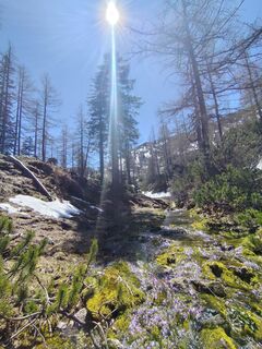 Fotografija s spletne strani Maria Hemetsberger na poti