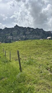 Foto von Corina Matzinger entlang der Tour