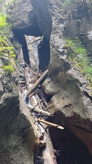 Fotografija s spletne strani kurtz na poti