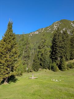 Photo de Martin Glaser le long du parcours