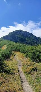 Foto von ketup entlang der Tour