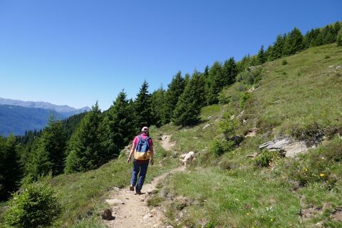 Höhensteig,Möseralm - Steinegg-Frommeshütte