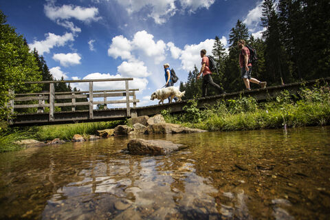 Wandern im Schwarzbachtal