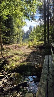 Photo de InesMag le long du parcours